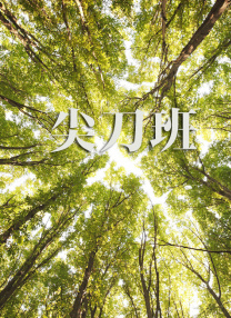 色即是空2银妆刀